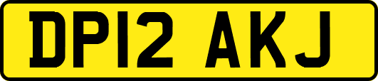 DP12AKJ