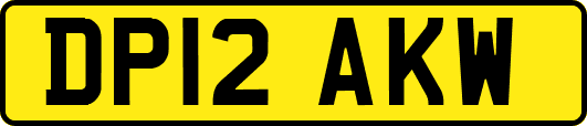 DP12AKW