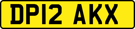 DP12AKX