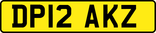 DP12AKZ