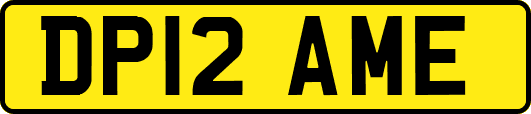 DP12AME