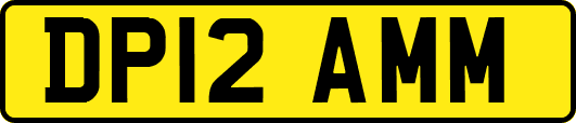 DP12AMM