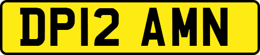 DP12AMN