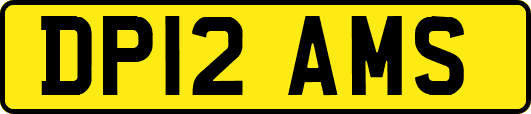 DP12AMS