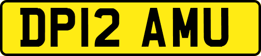 DP12AMU
