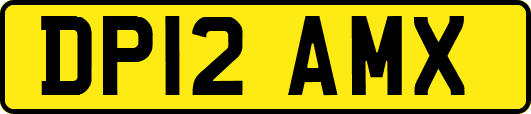DP12AMX
