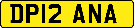 DP12ANA