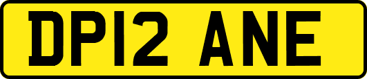 DP12ANE