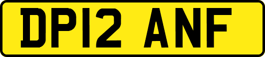 DP12ANF