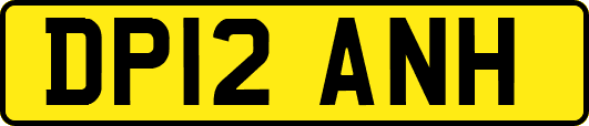 DP12ANH