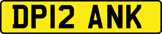 DP12ANK