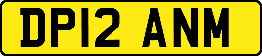 DP12ANM