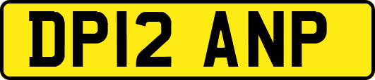 DP12ANP