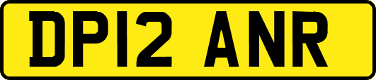 DP12ANR