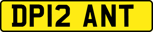 DP12ANT