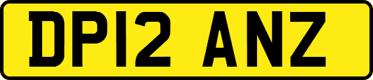 DP12ANZ