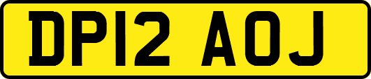 DP12AOJ