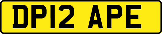 DP12APE