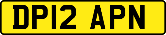 DP12APN