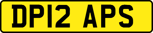 DP12APS