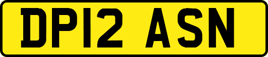 DP12ASN