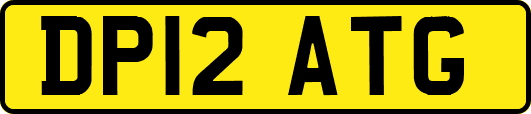 DP12ATG