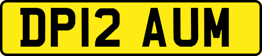 DP12AUM