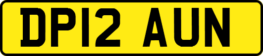 DP12AUN