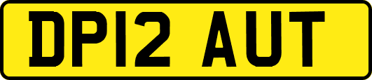 DP12AUT