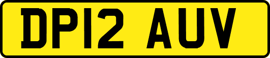 DP12AUV