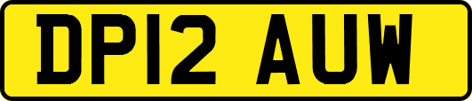 DP12AUW