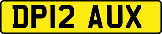 DP12AUX