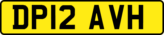 DP12AVH