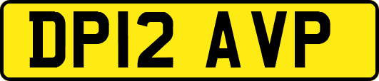 DP12AVP