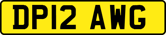 DP12AWG