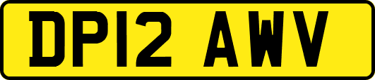 DP12AWV