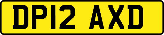 DP12AXD