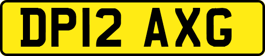DP12AXG