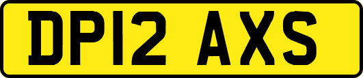 DP12AXS
