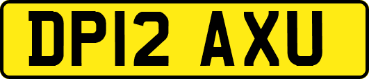 DP12AXU