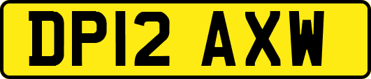 DP12AXW