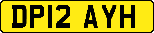 DP12AYH