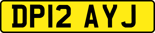 DP12AYJ