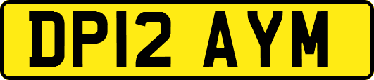 DP12AYM
