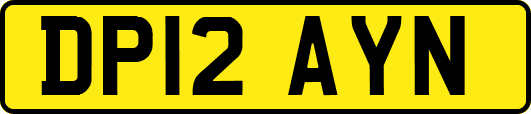 DP12AYN