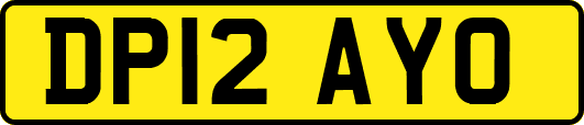 DP12AYO
