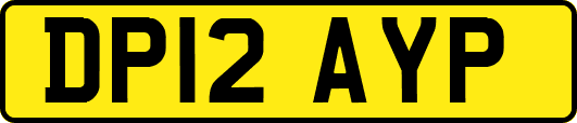 DP12AYP