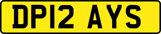DP12AYS