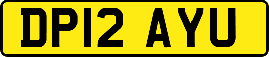 DP12AYU