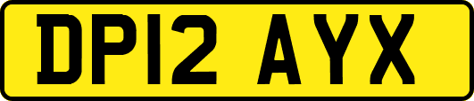DP12AYX